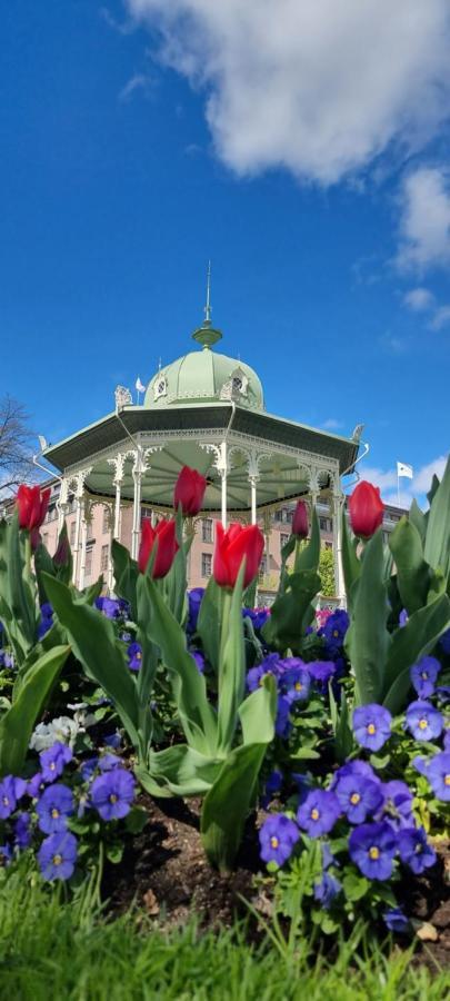 Byleilighet I Sjokanten M Terrasse Bergen Eksteriør billede